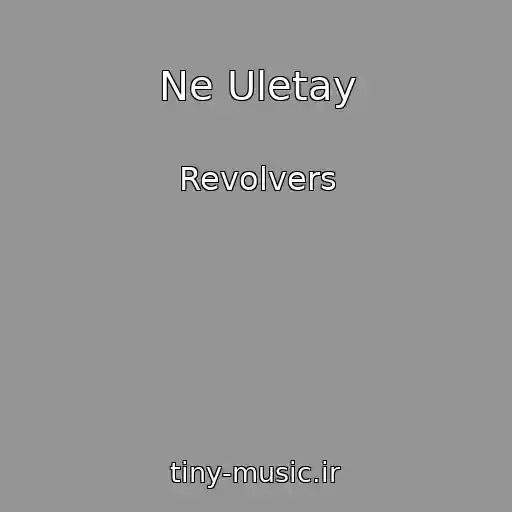 کاور آهنگ Ne Uletay از Revolvers