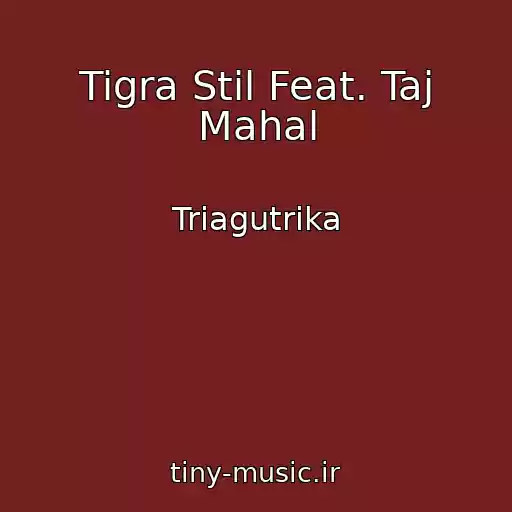 کاور آهنگ Tigra Stil Feat. Taj Mahal از Triagutrika