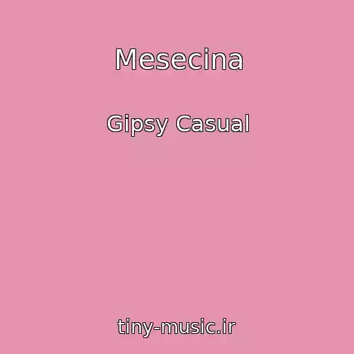 کاور آهنگ Mesecina از Gipsy Casual