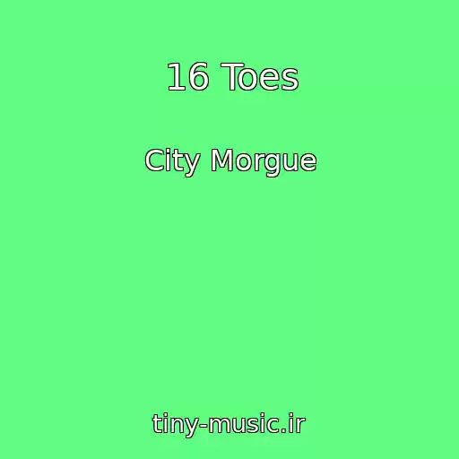 کاور آهنگ 16 Toes از City Morgue