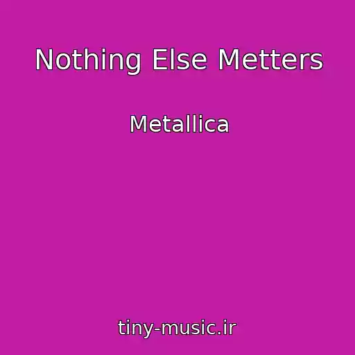 کاور آهنگ Nothing Else Metters از Metallica