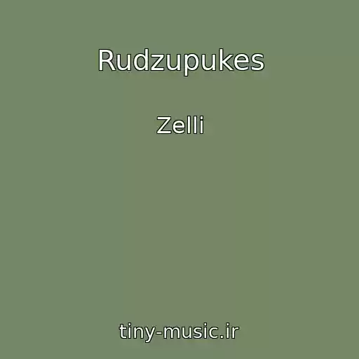 کاور آهنگ Rudzupukes از Zelli