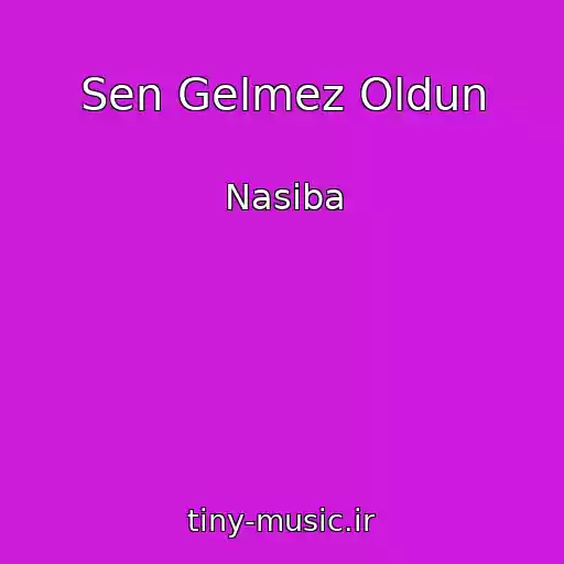 کاور آهنگ Sen Gelmez Oldun از Nasiba