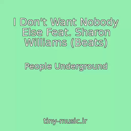 کاور آهنگ I Don't Want Nobody Else Feat. Sharon Williams (Beats) از People Underground