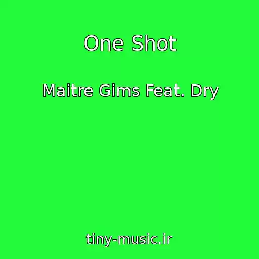 کاور آهنگ One Shot از Maitre Gims Feat. Dry