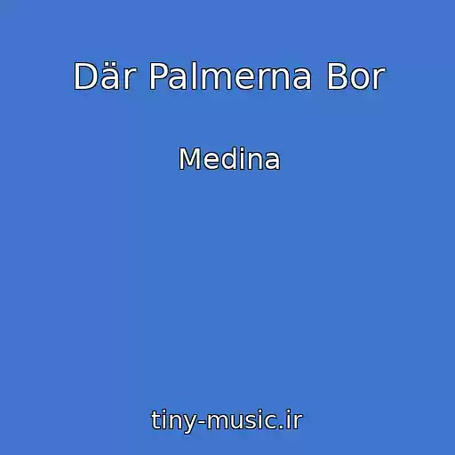 کاور آهنگ Där Palmerna Bor از Medina