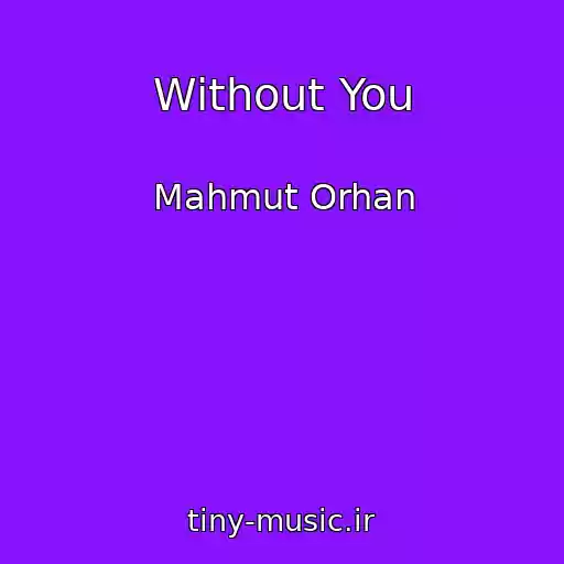 کاور آهنگ Without You از Mahmut Orhan