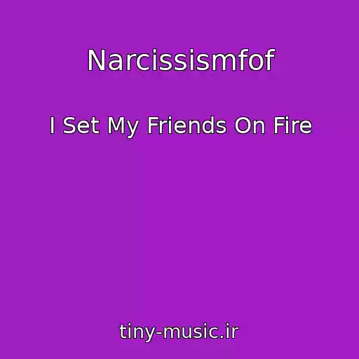 کاور آهنگ Narcissismfof از I Set My Friends On Fire