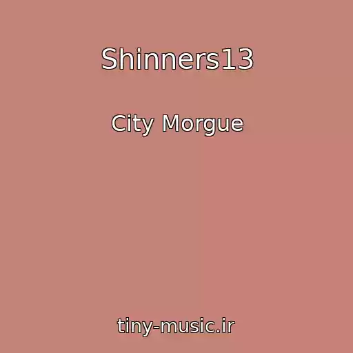 کاور آهنگ Shinners13 از City Morgue