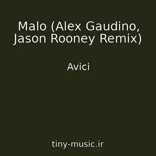 کاور آهنگ Malo (Alex Gaudino, Jason Rooney Remix) از Avici