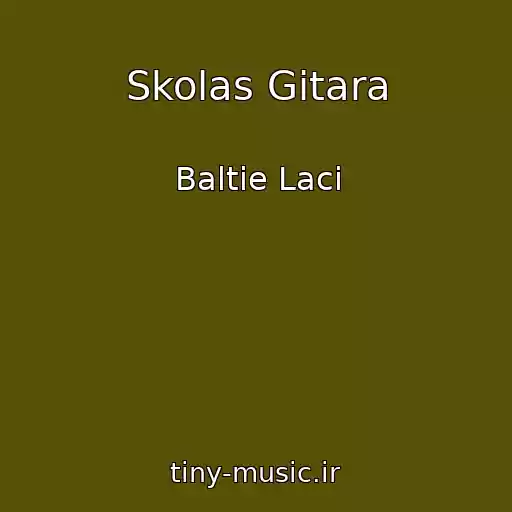 کاور آهنگ Skolas Gitara از Baltie Laci