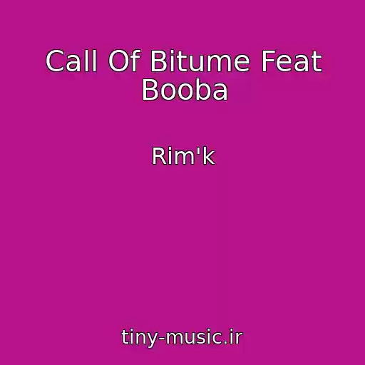 کاور آهنگ Call Of Bitume Feat Booba از Rim'k