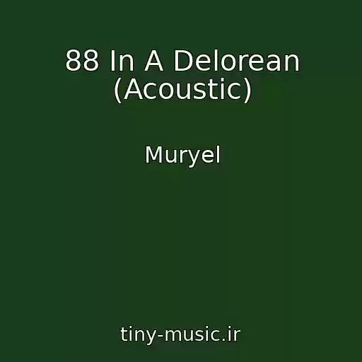 کاور آهنگ 88 In A Delorean (Acoustic) از Muryel