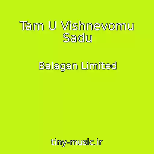 کاور آهنگ Tam U Vishnevomu Sadu از Balagan Limited