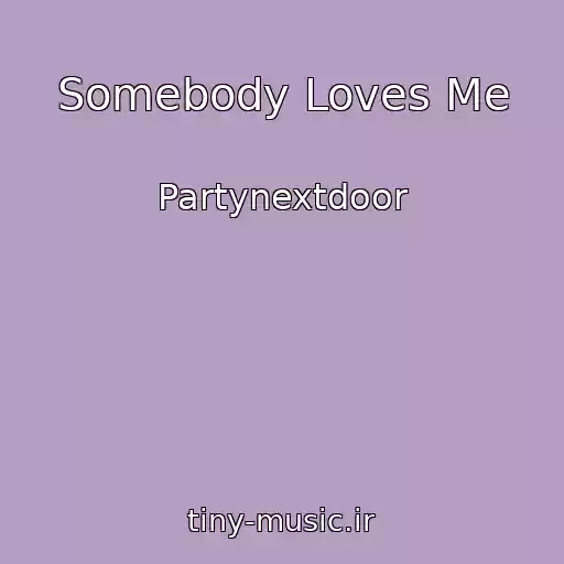 کاور آهنگ Somebody Loves Me از Partynextdoor