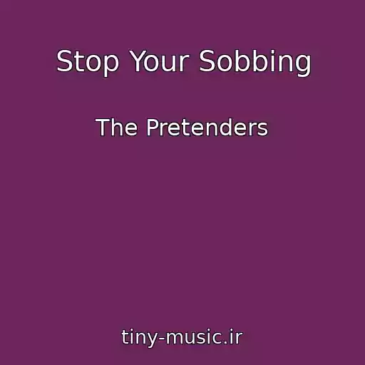 کاور آهنگ Stop Your Sobbing از The Pretenders