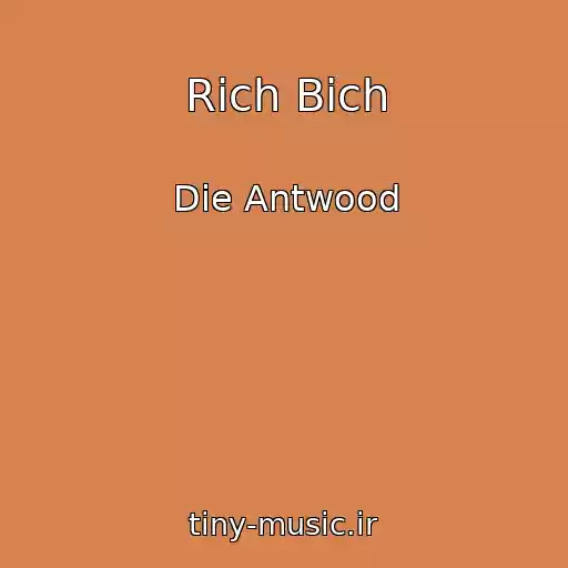کاور آهنگ Rich Bich از Die Antwood
