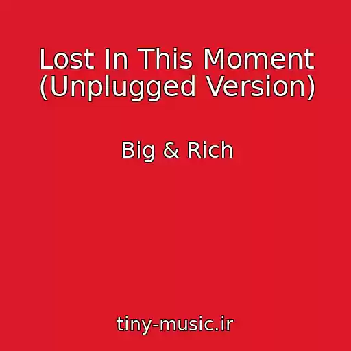 کاور آهنگ Lost In This Moment (Unplugged Version) از Big & Rich