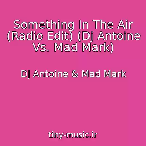 کاور آهنگ Something In The Air (Radio Edit) (Dj Antoine Vs. Mad Mark) از Dj Antoine & Mad Mark