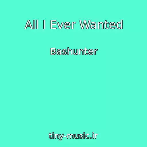 کاور آهنگ All I Ever Wanted از Bashunter