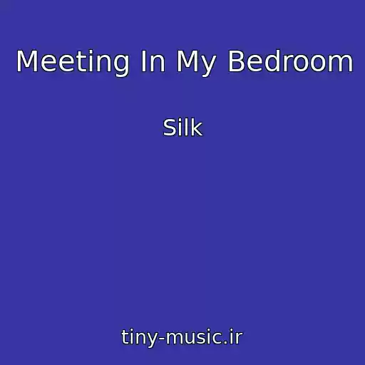 کاور آهنگ Meeting In My Bedroom از Silk