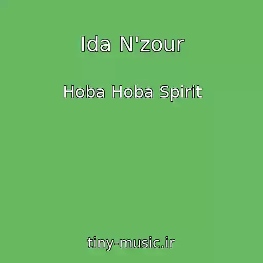 کاور آهنگ Ida N'zour از Hoba Hoba Spirit