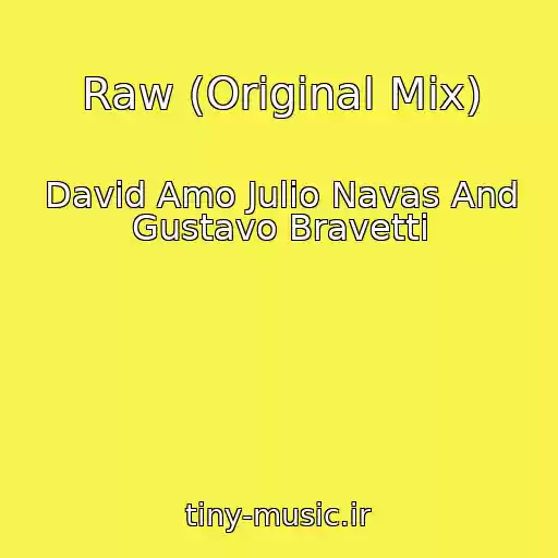 کاور آهنگ Raw (Original Mix) از David Amo Julio Navas And Gustavo Bravetti