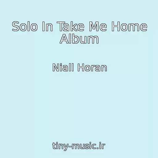 کاور آهنگ Solo In Take Me Home Album از Niall Horan