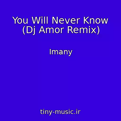 کاور آهنگ You Will Never Know (Dj Amor Remix) از Imany
