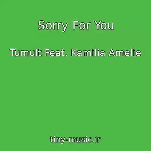 کاور آهنگ Sorry For You از Tumult Feat. Kamilia Amelie