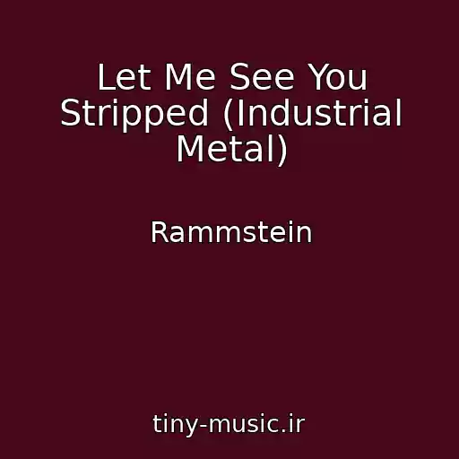 کاور آهنگ Let Me See You Stripped (Industrial Metal) از Rammstein