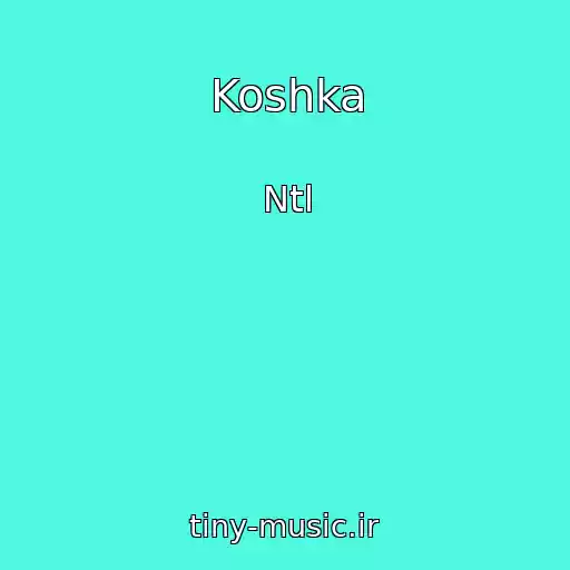 کاور آهنگ Koshka از Ntl