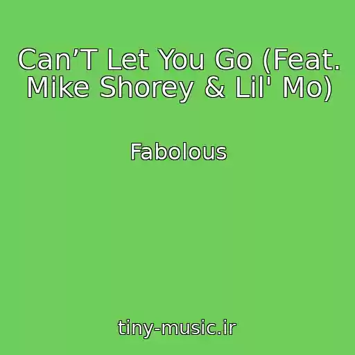 کاور آهنگ Can’T Let You Go (Feat. Mike Shorey & Lil' Mo) از Fabolous