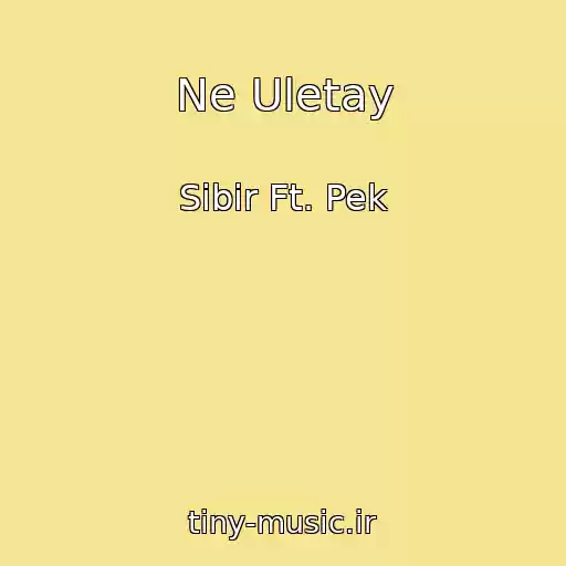 کاور آهنگ Ne Uletay از Sibir Ft. Pek