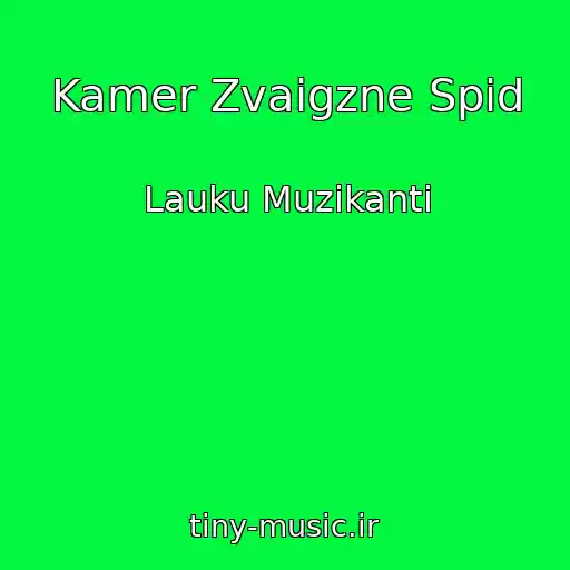 کاور آهنگ Kamer Zvaigzne Spid از Lauku Muzikanti