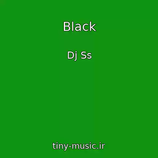 کاور آهنگ Black از Dj Ss