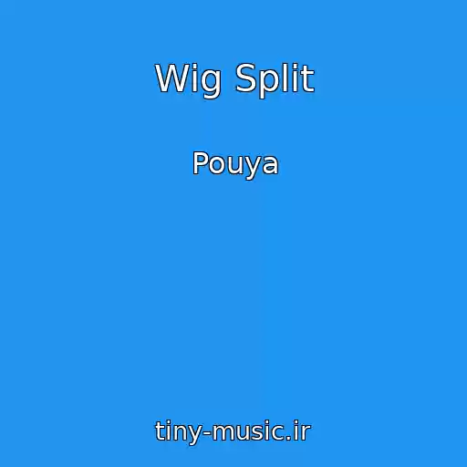 کاور آهنگ Wig Split از Pouya