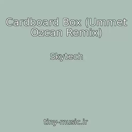 کاور آهنگ Cardboard Box (Ummet Ozcan Remix) از Skytech