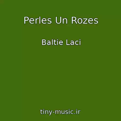 کاور آهنگ Perles Un Rozes از Baltie Laci