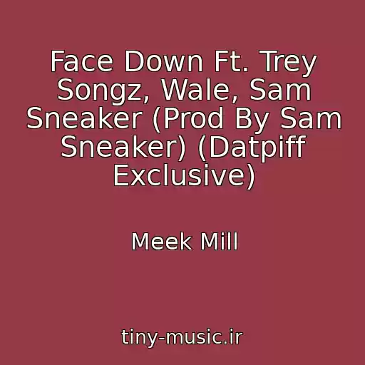 کاور آهنگ Face Down Ft. Trey Songz, Wale, Sam Sneaker (Prod By Sam Sneaker) (Datpiff Exclusive) از Meek Mill