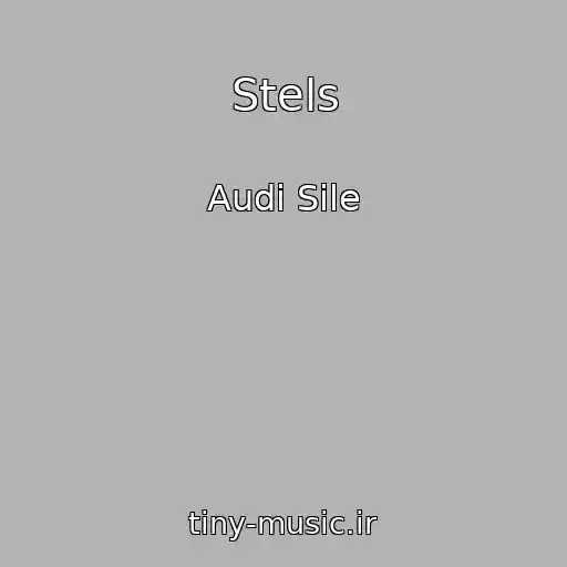 کاور آهنگ Stels از Audi Sile