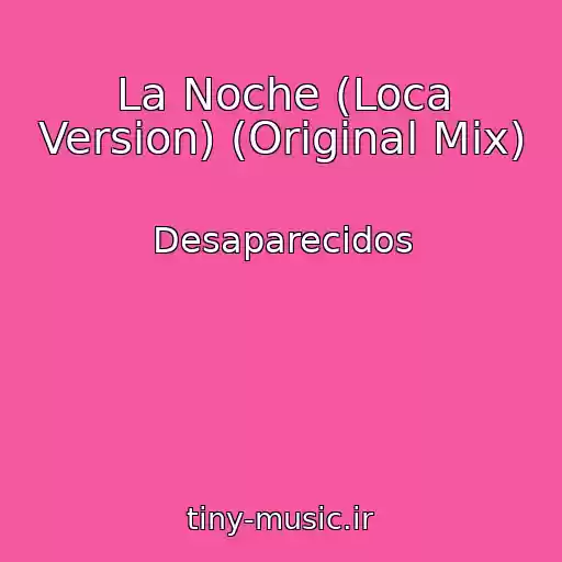 کاور آهنگ La Noche (Loca Version) (Original Mix) از Desaparecidos