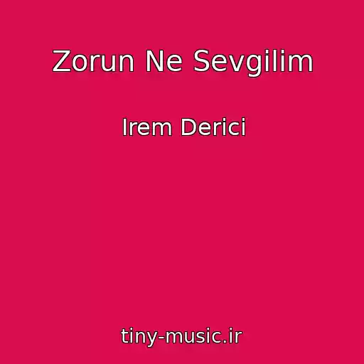 کاور آهنگ Zorun Ne Sevgilim از Irem Derici