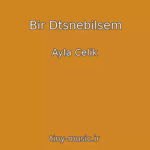 کاور آهنگ Bir Dtsnebilsem از Ayla Celik