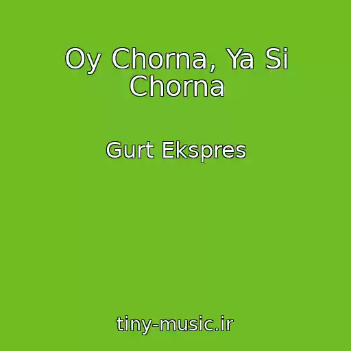 کاور آهنگ Oy Chorna, Ya Si Chorna از Gurt Ekspres