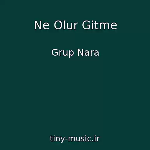 کاور آهنگ Ne Olur Gitme از Grup Nara