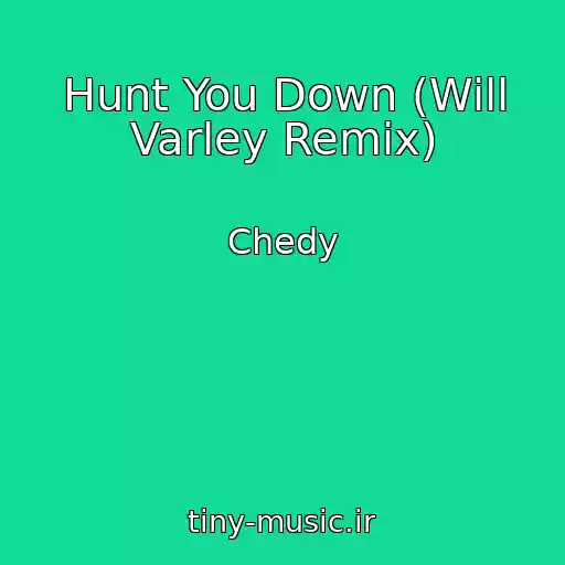 کاور آهنگ Hunt You Down (Will Varley Remix) از Chedy