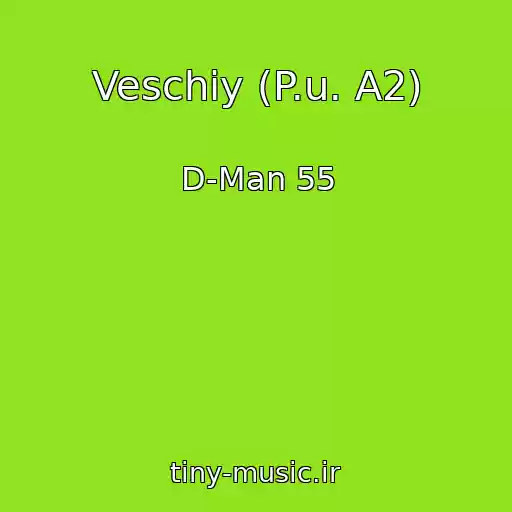 کاور آهنگ Veschiy (P.u. A2) از D-Man 55