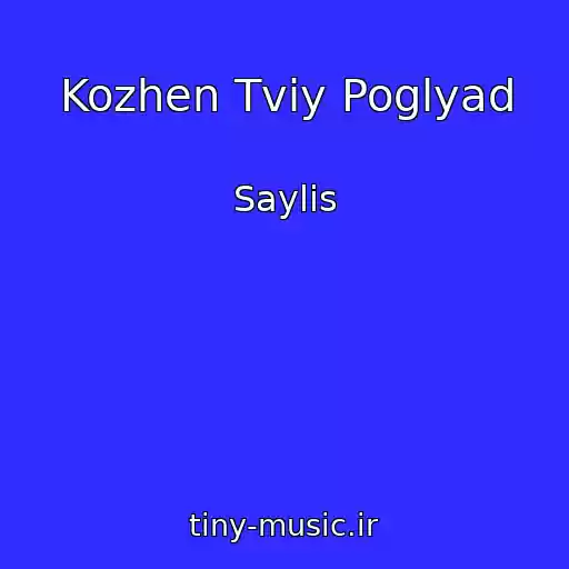 کاور آهنگ Kozhen Tvіy Poglyad از Saylis