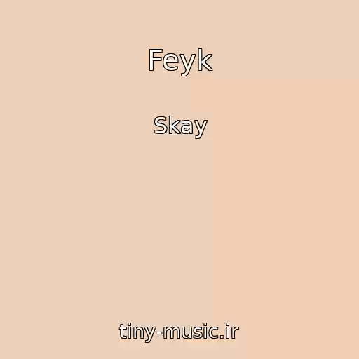 کاور آهنگ Feyk از Skay